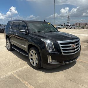 2017 Cadillac ESCALADE LUXURY 缩略图 12