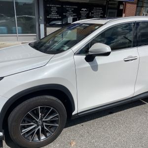 2024 Lexus NX 350H BASE 照片 2