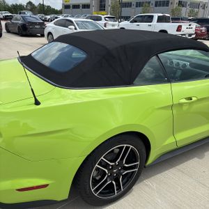 FORD MUSTANG ECOBOOST PREMIUM - 9