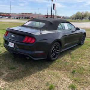FORD MUSTANG ECOBOOST PREMIUM - 8