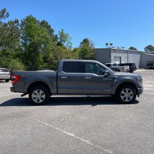 FORD F-150 PLATINUM - 10