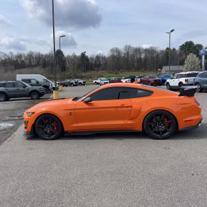 FORD MUSTANG SHELBY GT500 - 3