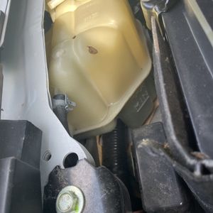 صورة مصغرة 47 لـ 2025 Nissan FRONTIER PRO-4X