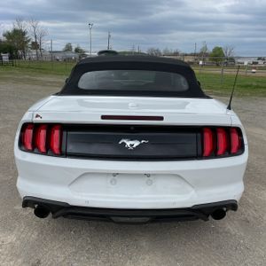 FORD MUSTANG ECOBOOST PREMIUM - 7