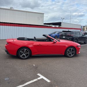 FORD MUSTANG ECOBOOST PREMIUM - 10