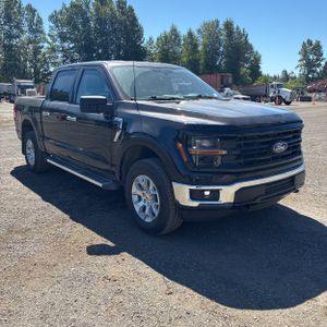 2025 FORD F-150 XLT 缩略图 12