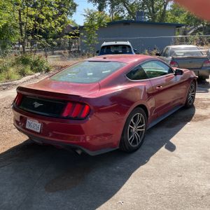 FORD MUSTANG ECOBOOST PREMIUM - 8