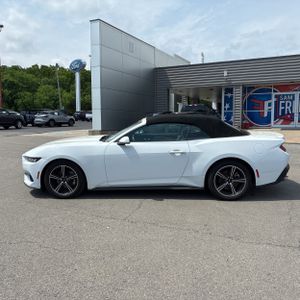 FORD MUSTANG ECOBOOST PREMIUM - 3