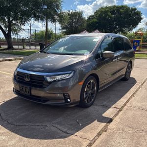 HONDA ODYSSEY ELITE - 1