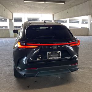 LEXUS NX 350 BASE - 7