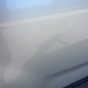 2013 KIA SORENTO LX 缩略图 49