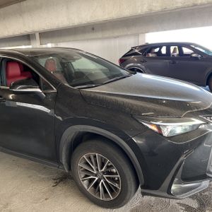 2024 Lexus NX 350H PREMIUM thumbnail 13