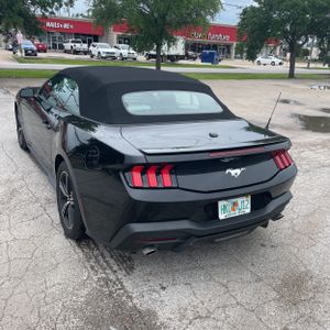 FORD MUSTANG ECOBOOST - 4