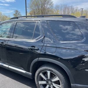 HONDA PILOT ELITE - 5