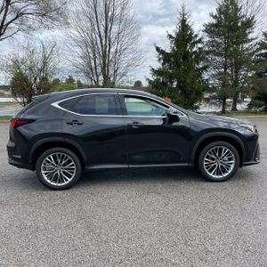 LEXUS NX 350 LUXURY - 10