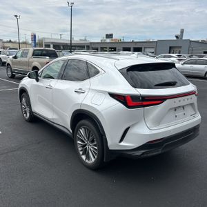LEXUS NX 350H LUXURY - 5