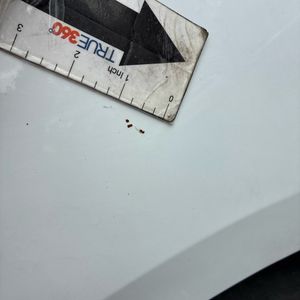 2017 Nissan SENTRA S 缩略图 57