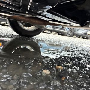 2024 FORD EDGE SEL thumbnail 29