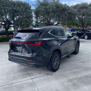 2023 Lexus NX 250 BASE — фото 8
