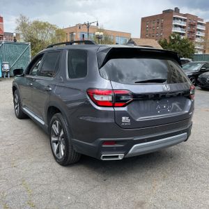 HONDA PILOT ELITE - 5