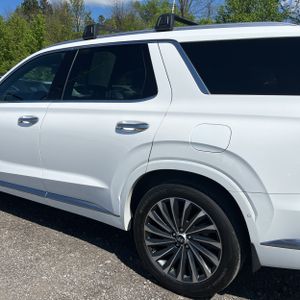 HYUNDAI PALISADE CALLIGRAPHY - 6