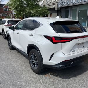 2024 Lexus NX 350H BASE 照片 4