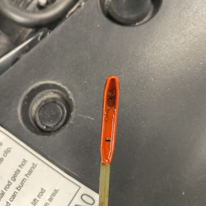 2019 Honda CIVIC EX thumbnail 45