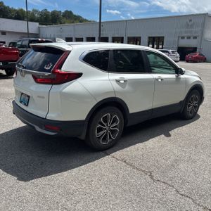 2020 Honda CR-V EX-L 照片 8