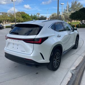 LEXUS NX 250 BASE - 8
