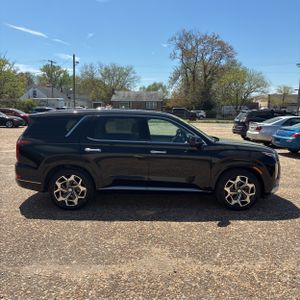 HYUNDAI PALISADE CALLIGRAPHY - 10