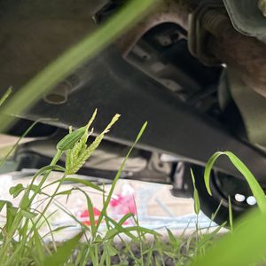 صورة مصغرة 30 لـ 2016 Toyota COROLLA LE