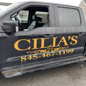 FORD F-150 LIGHTNING LARIAT - 4