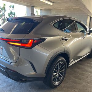 2025 Lexus NX 350 PREMIUM — фото 9