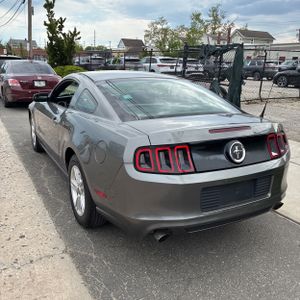 FORD MUSTANG V6 - 5