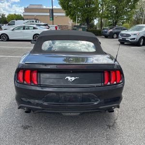 FORD MUSTANG ECOBOOST PREMIUM - 7