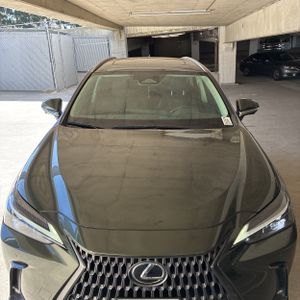 2024 Lexus NX 350 PREMIUM — фото 13