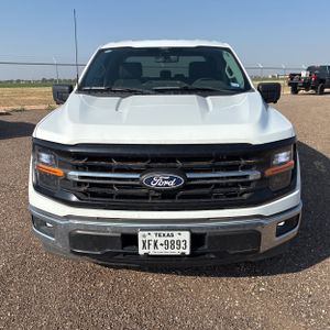 2024 FORD F-150 XLT 缩略图 14