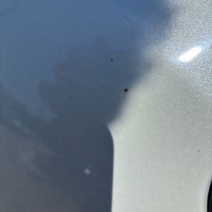 صورة مصغرة 69 لـ 2020 Honda PASSPORT EX-L