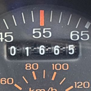 صورة مصغرة 38 لـ 1986 FORD MUSTANG GT
