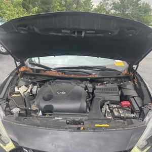 2016 Nissan MAXIMA 3.5 SR — миниатюра 45