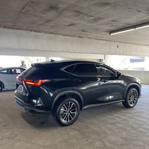 LEXUS NX 350 BASE - 10