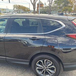 2020 Honda CR-V EX 照片 6