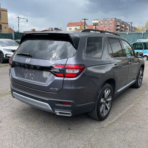 HONDA PILOT ELITE - 8