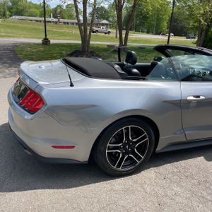 FORD MUSTANG ECOBOOST PREMIUM - 9