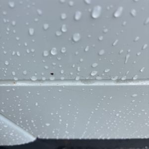 2017 Porsche CAYENNE PLATINUM EDITION 照片 57