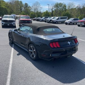 FORD MUSTANG V6 - 5