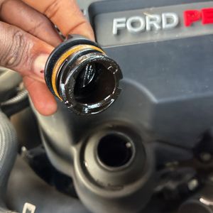 صورة 52 لـ 2019 FORD F-150 RAPTOR