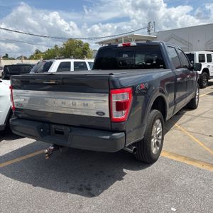FORD F-150 PLATINUM - 8