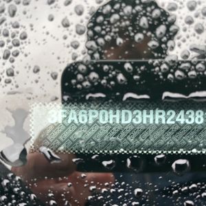 Thumbnail 53