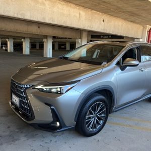 2024 Lexus NX 350 BASE — фото 2